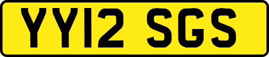 YY12SGS