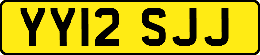 YY12SJJ