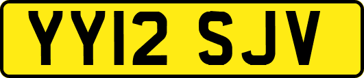 YY12SJV