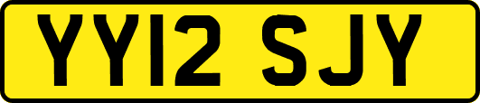 YY12SJY