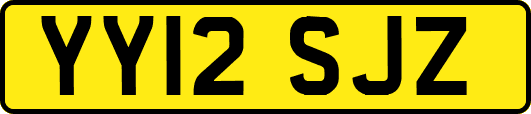 YY12SJZ