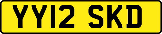 YY12SKD
