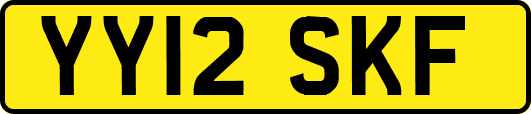 YY12SKF