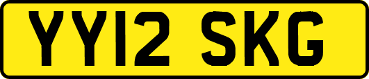 YY12SKG