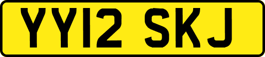 YY12SKJ