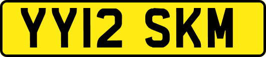 YY12SKM