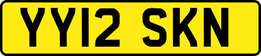 YY12SKN