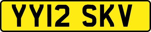 YY12SKV