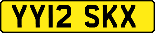 YY12SKX