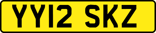 YY12SKZ