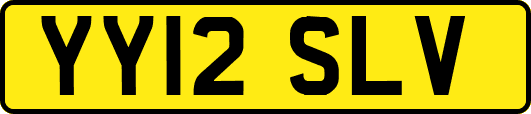 YY12SLV