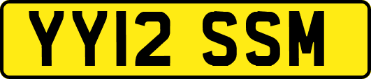 YY12SSM