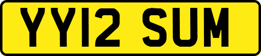 YY12SUM