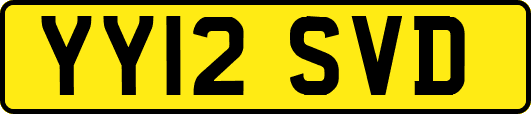 YY12SVD