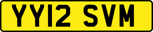 YY12SVM