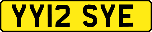 YY12SYE