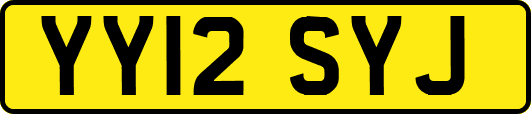 YY12SYJ