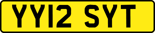 YY12SYT