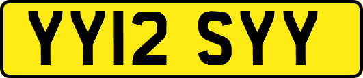 YY12SYY