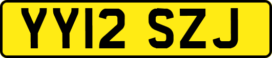 YY12SZJ