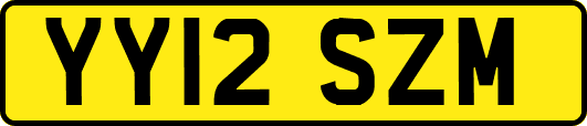 YY12SZM