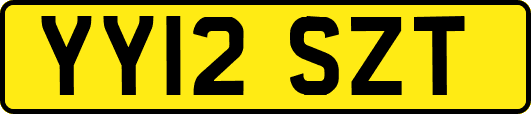 YY12SZT