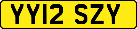 YY12SZY