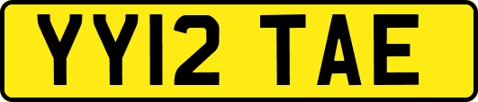 YY12TAE