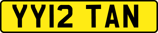 YY12TAN