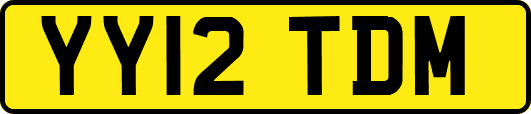 YY12TDM
