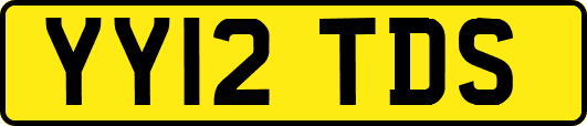 YY12TDS