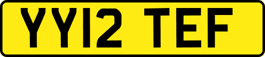 YY12TEF