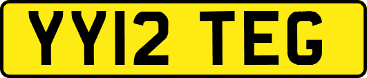 YY12TEG