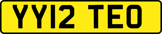 YY12TEO