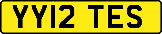 YY12TES