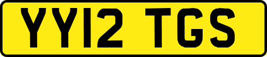 YY12TGS