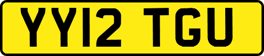 YY12TGU