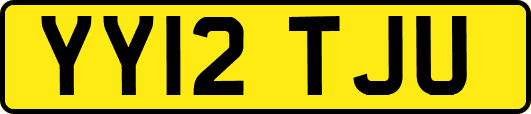 YY12TJU