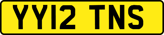 YY12TNS
