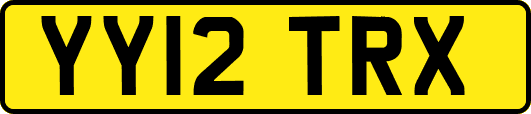 YY12TRX