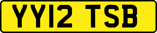 YY12TSB