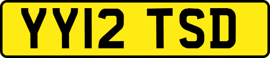 YY12TSD