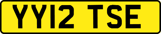 YY12TSE