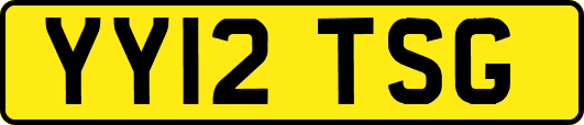 YY12TSG