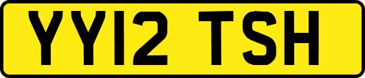 YY12TSH