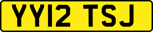 YY12TSJ