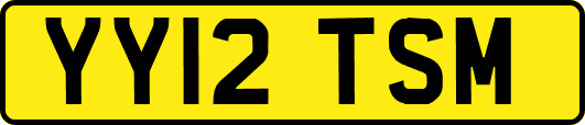 YY12TSM