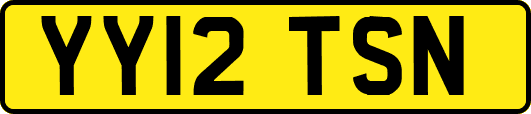 YY12TSN