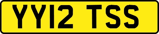 YY12TSS