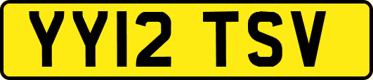 YY12TSV